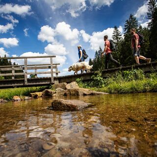 Wandern im Schwarzbachtal