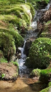 Foto von Petra Bohringer entlang der Tour