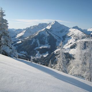 Blick in Richtung Galtenberg