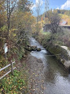Foto de Meszaros Marianna a lo largo del recorrido