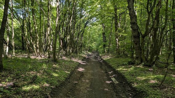 Fotografie de la Jele Hannes de-a lungul turului