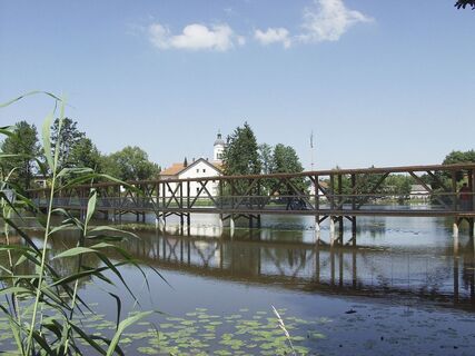 OLYMPUS DIGITAL CAMERA         