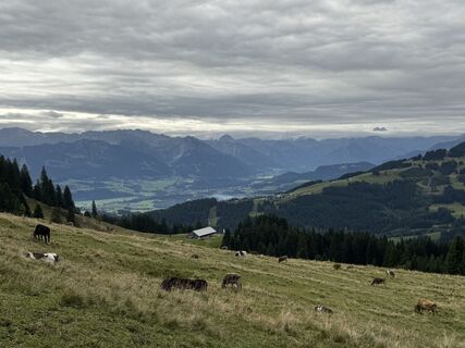 Foto von Norbert Herbig entlang der Tour