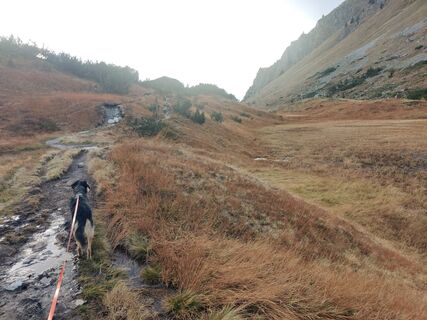 Foto von Xenia Lange entlang der Tour