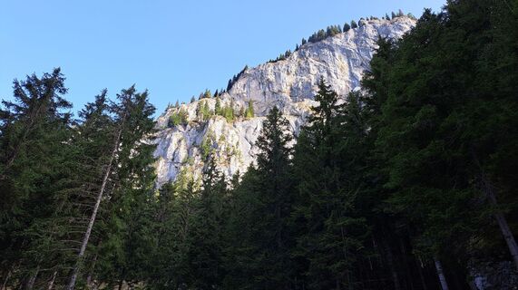 Photo de Anna Wilding le long du parcours