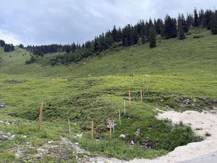 Foto von Joschi Weber entlang der Tour
