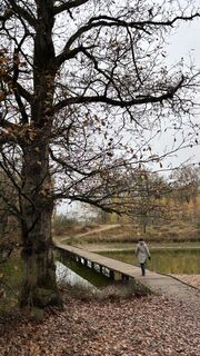 Fotografie z Marco Pauwels na trase