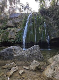 Fotografie z Sandra Hashagen na trase