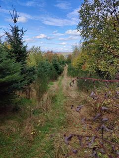 Zdjęcie z DevilsBastard wzdłuż trasy