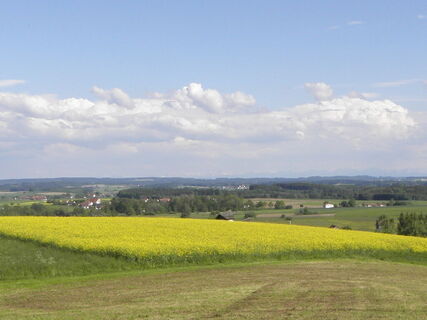 Panoramablick von der Lassaulx-Bank