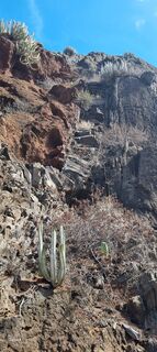 Fotografia z Mario Libardi na trase