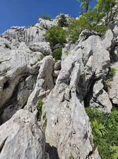 Photo de gerald.gasperl le long du parcours