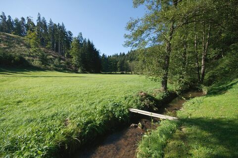 Jaidhof