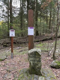 Foto von Marco Steinbach entlang der Tour