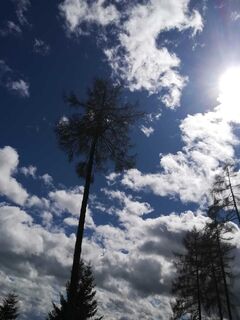 tour 20a - mtb - fohnsdorfer graben bis zur hammerl eckwiese_img_51425947