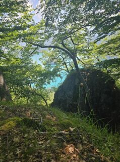 Photo de Angelika Gerung le long du parcours