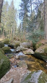 Fotografia z Anita Lunzer 1 na trase