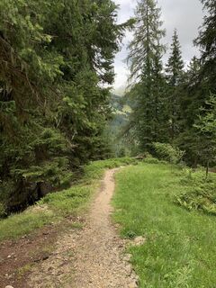 Photo de Koen De Wit le long du parcours