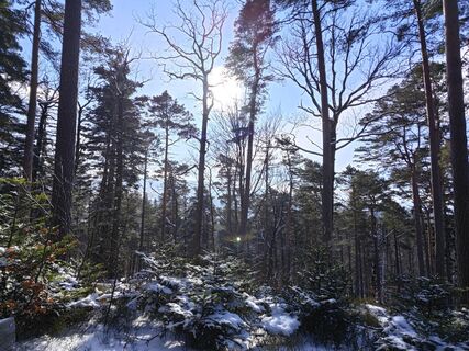 Foto de Sabine a lo largo del recorrido