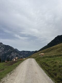 Foto von Heinz Sperl entlang der Tour