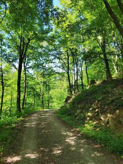 Foto fra ReginaSt undervejs på turen