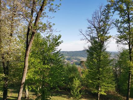 Ausblicke am Kogelrundweg