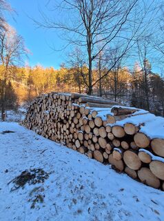 Foto von Mimi entlang der Tour