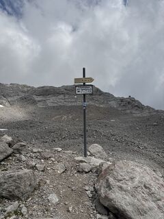 Foto da Grizzli lungo il tour