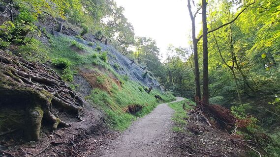 Hagenbachklamm