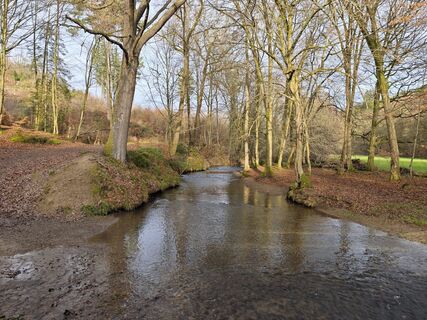 Fotografia z Björn Heun na trase