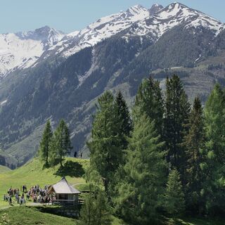 Ausblick über das Naglköpfl ins Dietersbachtal