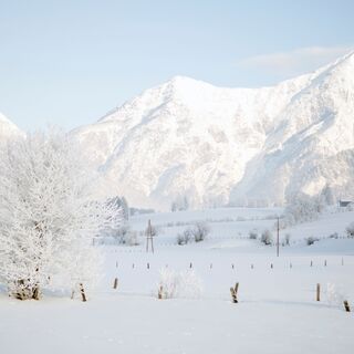 Idyllische Winterlandschaft