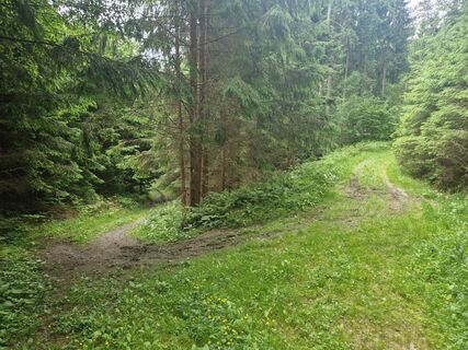 Foto von Markus Mosser entlang der Tour