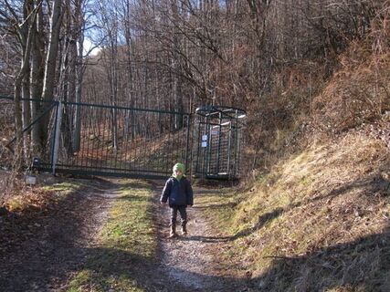 Gaisstein