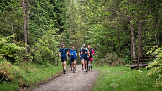 unterwegs auf der kleinen Dorfrunde - auf der Forstraße in Richtung Pletzach Alm