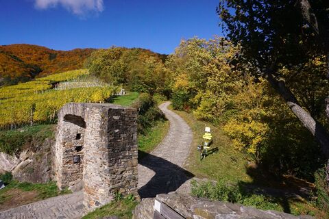 Foto från Walter Köllner under resans gång