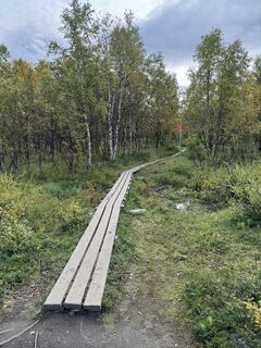 Fotografia z Justin Rider na trase