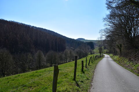 Landschaft beim Wandern bei Siddinghausen