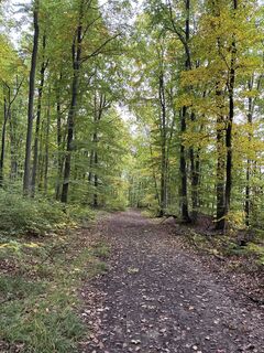 Kuva osoitteesta Günter Ritzer matkan varrella