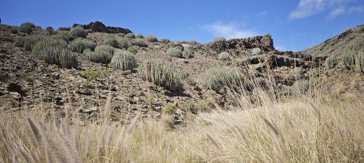 Foto de JürgÖ a lo largo del recorrido