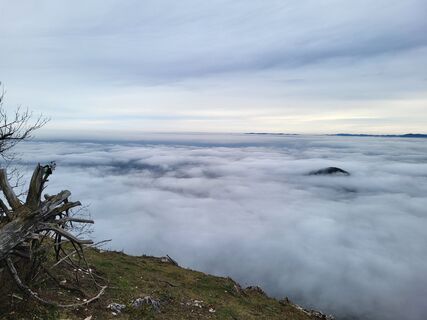 Foto da Silvia72 lungo il tour