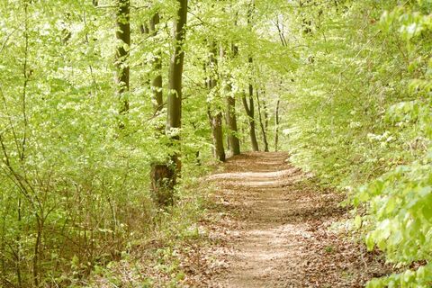 Wanderweg "Dem Wasserdrachen auf der Spur"