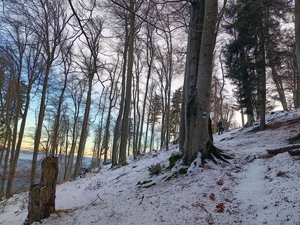 Fotografija s spletne strani Karin Wessely na poti