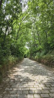 Fotografija s spletne strani Hieu Duc Tram na poti