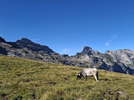 Foto von Michael Putz entlang der Tour