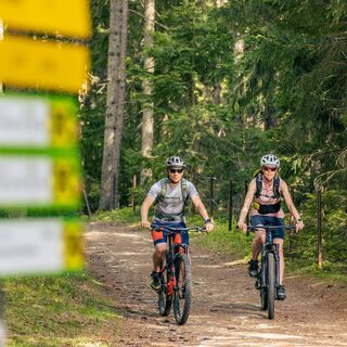 Zwei Mountainbiker