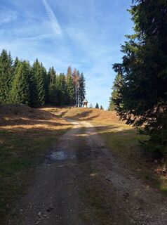 Fotografija s spletne strani Dagmar Hofer na poti