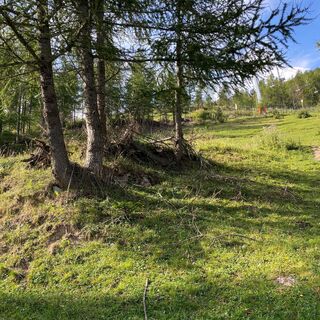 Wanderung Richtung Stiegele