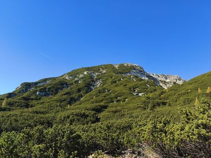 Fotografija s spletne strani Marko Bešter na poti