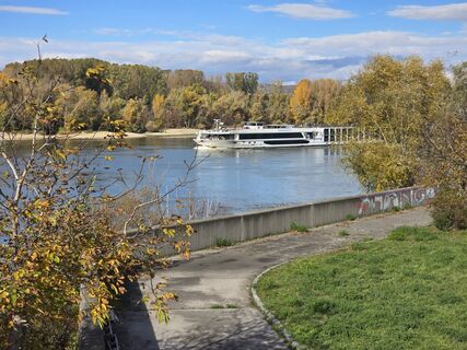 Foto van enipeus 65 langs de tour